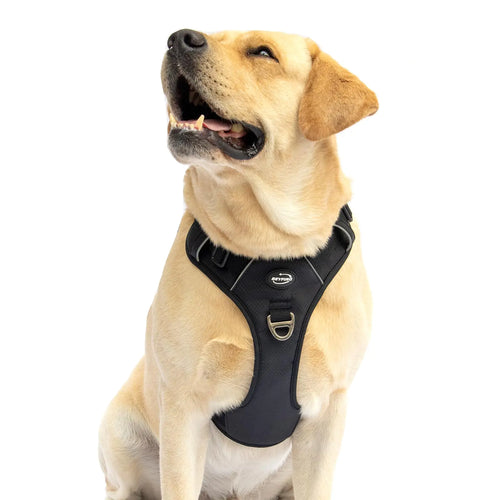 BEYFIRG_ No Pull Harness for Small DogsLightweight & Adjustable Reflective Pet Vest Harness Easy Control Handle for Walking (Black Small)